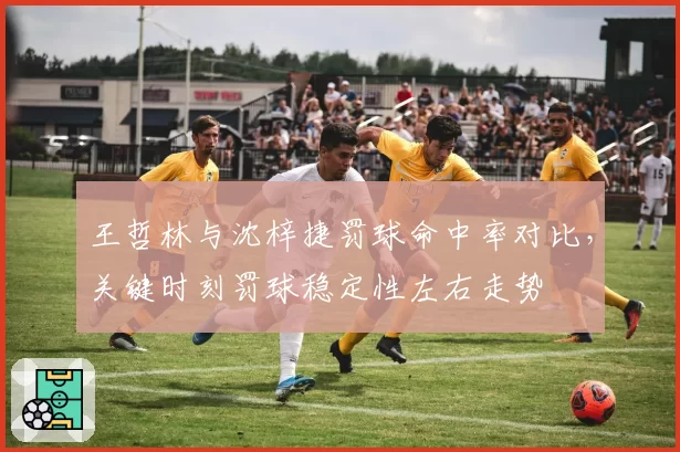 王哲林与沈梓捷罚球命中率对比，关键时刻罚球稳定性左右走势